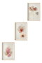 Wallity Cuadro Decorativo Enmarcado Huhu205 - 30 x 40 cm (3 Piezas)